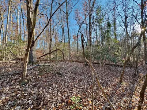 176 Suwanne Rd, Troy, NC 27371 photo 9