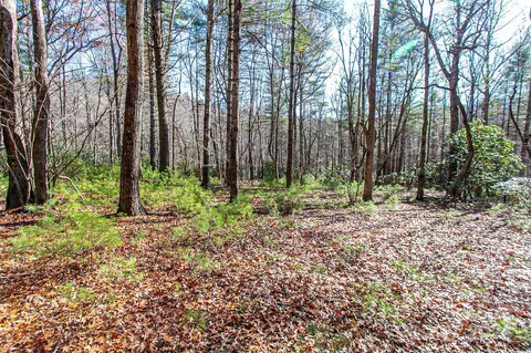 Cherrywood B Lane #B, Pisgah Forest, NC 28768