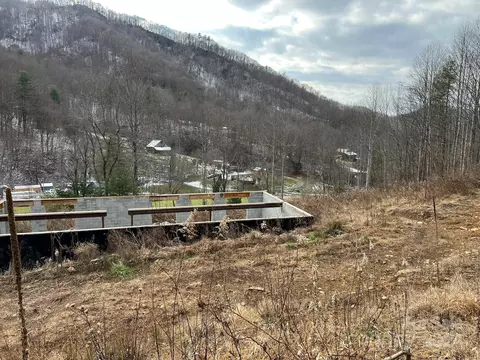 443 Long Branch Rd, Mars Hill, NC 28754 photo 9