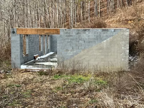 443 Long Branch Rd, Mars Hill, NC 28754 photo 3