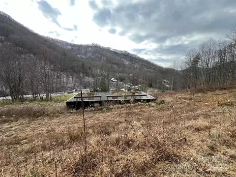 443 Long Branch Rd, Mars Hill, NC 28754