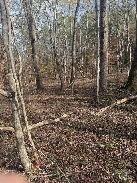 0000 Rash Rd, Lincolnton, NC 28092