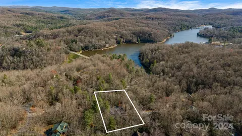 681 Dotsi Dr, Brevard, NC 28712 photo 42