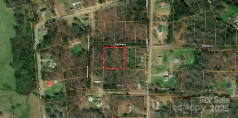 Stallion Lane, Lancaster, SC 29720
