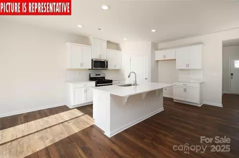 3721 Cullen Meadows Dr, Davidson, NC 28036 photo 6