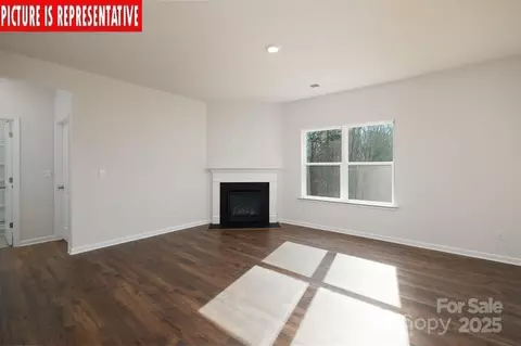 3721 Cullen Meadows Dr, Davidson, NC 28036 photo 9