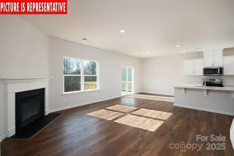 3721 Cullen Meadows Dr, Davidson, NC 28036 photo 8