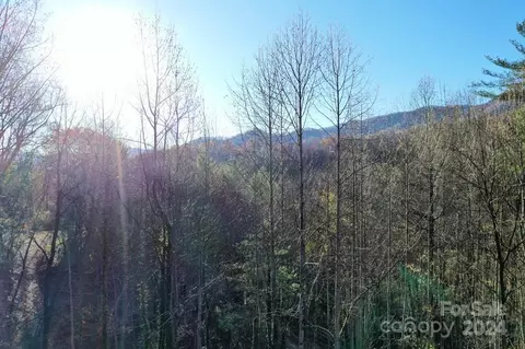 Other - 84 Woodtop Rd, Sylva, NC 28779 photo 2 of 10