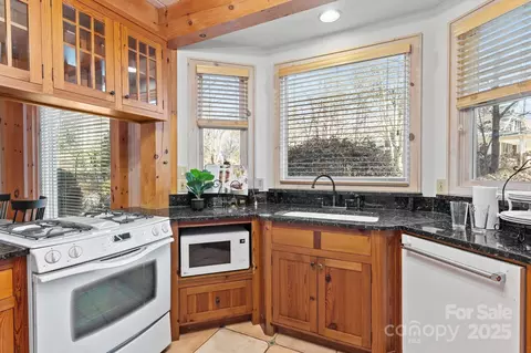917 Patrick Johnston Ln, Davidson, NC 28036 photo 16