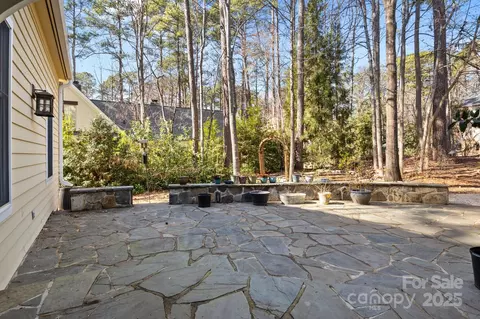 917 Patrick Johnston Ln, Davidson, NC 28036 photo 38