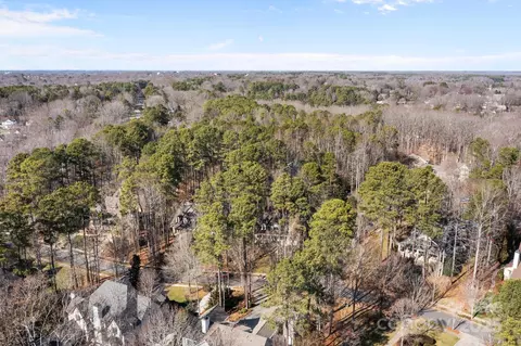917 Patrick Johnston Ln, Davidson, NC 28036 photo 43
