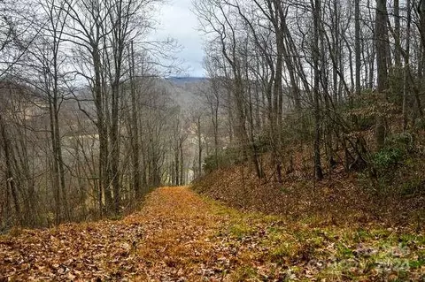 19 Flowing Hills 19 20 Dr #19, 20, Clyde, NC 28721