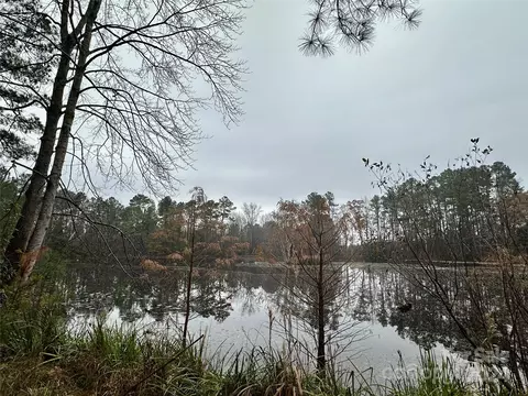 View/Area - 4108 Johnson Rd, Jefferson, SC 29718 photo 7 of 8