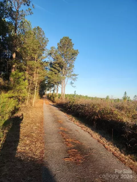 Other - 4108 Johnson Rd, Jefferson, SC 29718 photo 13 of 13