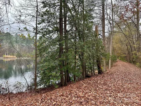 View/Area - 4108 Johnson Rd, Jefferson, SC 29718 photo 5 of 8