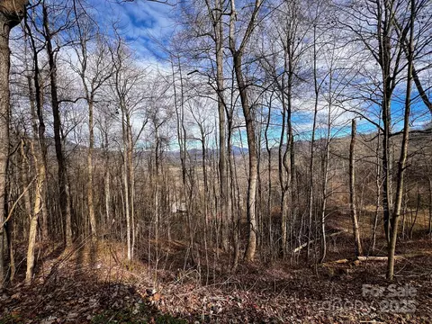 APT 618 Billy Bob Trail, Waynesville, NC 28786
