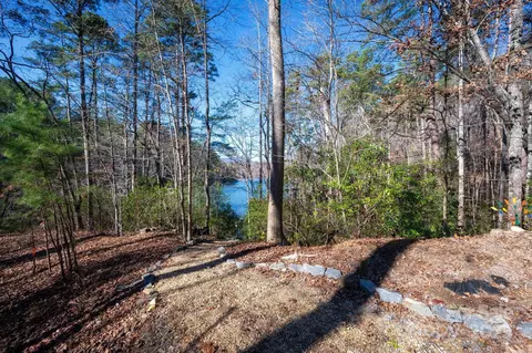 Other - 461 Hawk Ridge Dr, Mill Spring, NC 28756 photo 4 of 4