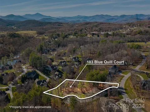 103 Blue Quill Ct, Biltmore Lake, NC 28715