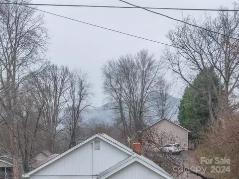 Other - 59 Devlin St, Canton, NC 28716 photo 4 of 4