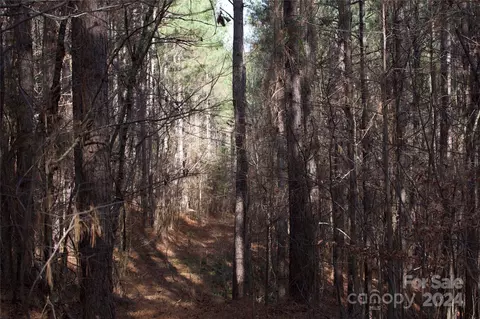 00 Deerwood Rd, Lancaster, SC 29720 photo 4