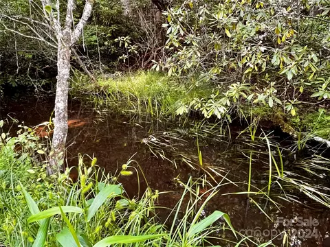 Other - 585 Nottingham Rd, Brevard, NC 28712 photo 13 of 16