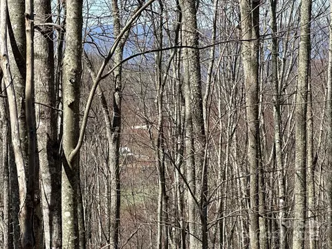 146 E Clubhouse 99 Rd #99, Sylva, NC 28779