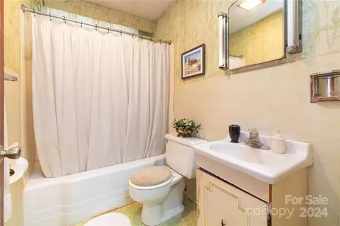 Bath - 57 Dix Gap Cir, Cullowhee, NC 28723 photo 3 of 3
