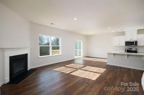 3711 Cullen Meadows Dr, Davidson, NC 28036 photo 4