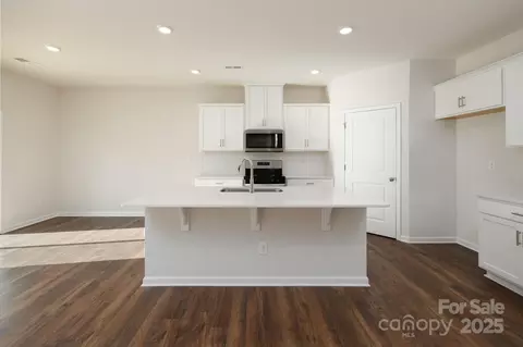 3711 Cullen Meadows Dr, Davidson, NC 28036 photo 6