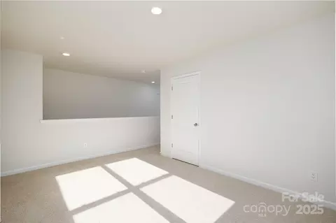 3711 Cullen Meadows Dr, Davidson, NC 28036 photo 15