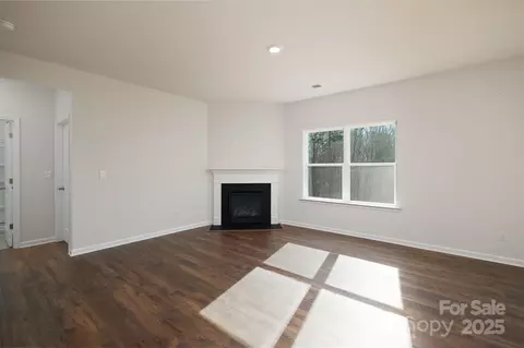 3711 Cullen Meadows Dr, Davidson, NC 28036 photo 5