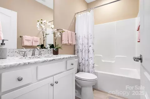 11732 Mount Argus Dr, Cornelius, NC 28031 photo 20
