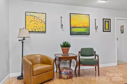 Other - 511 Nellie John Dr, Clyde, NC 28721 photo 4 of 19