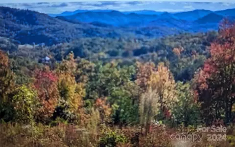 0000 Leatherman Rd, Franklin, NC 28734