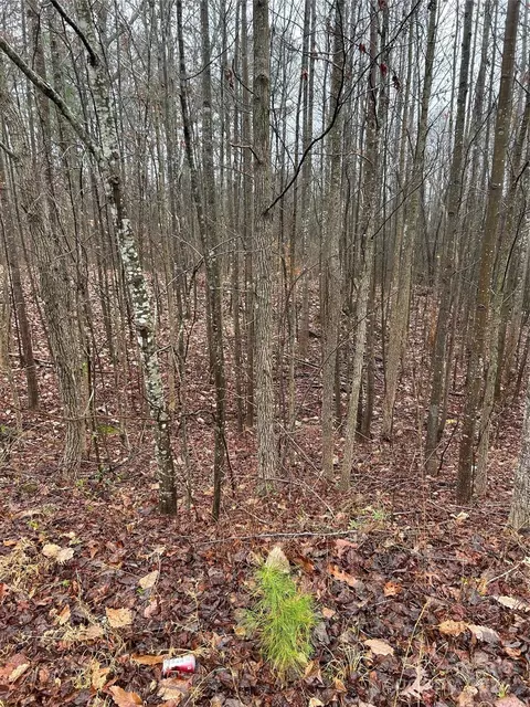 Willow Ridge Road, Lincolnton, NC 28092