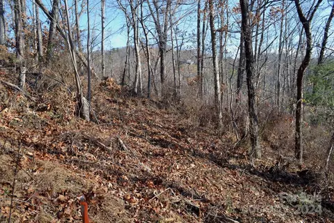 377 Elk Mountain Scenic Hwy, Asheville, NC 28804