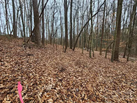Grassy View Road, Candler, NC 28715