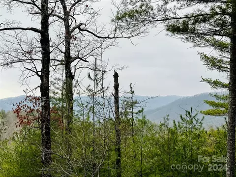 60 Longview 3 Ct #3, Marshall, NC 28753 photo 6