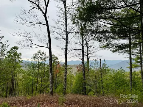 60 Longview 3 Ct #3, Marshall, NC 28753 photo 5