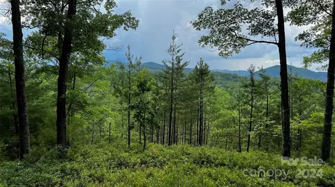60 Longview 3 Ct #3, Marshall, NC 28753 photo 3