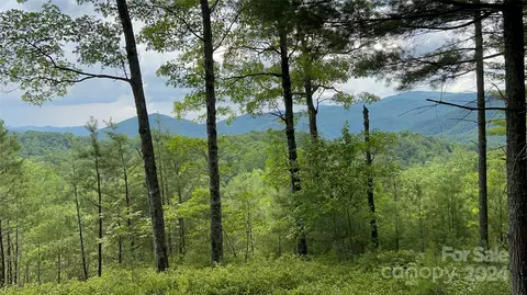 60 Longview 3 Ct #3, Marshall, NC 28753 photo 2