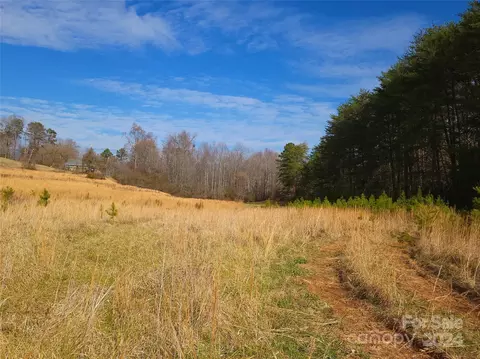 000 Herbert Page Rd, Tryon, NC 28782 photo 3