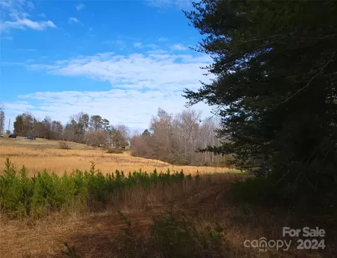 000 Herbert Page Rd, Tryon, NC 28782 photo 2