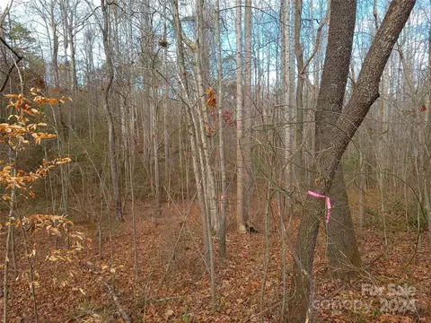 000 Herbert Page Rd, Tryon, NC 28782 photo 11