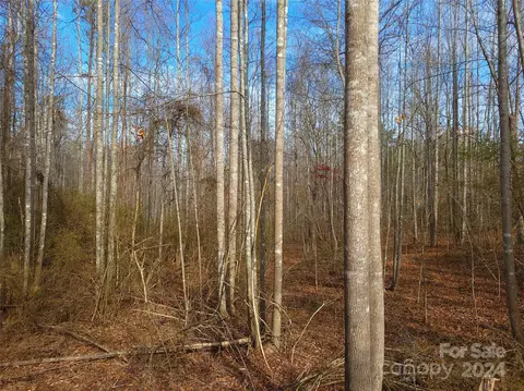 000 Herbert Page Rd, Tryon, NC 28782 photo 10