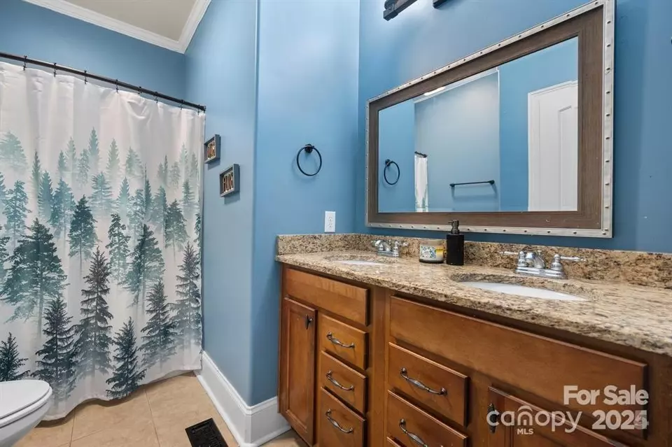 Bath - 6156 Falls Ridge Trl, Sherrills Ford, NC 28673 photo 4 of 4