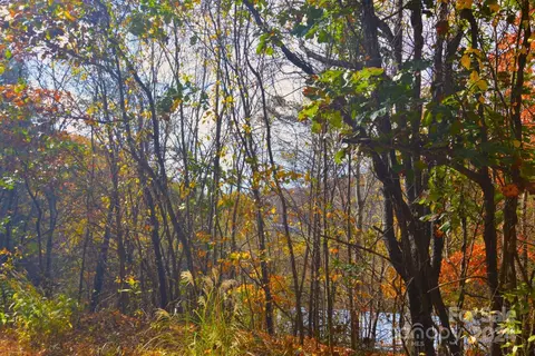 39 S Valley View Dr, Mars Hill, NC 28754