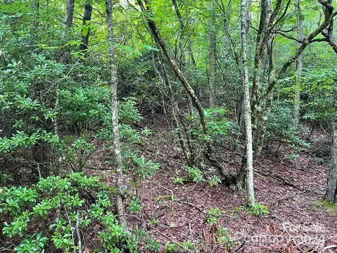 103 Chipmunk Ln, Beech Mountain, NC 28604
