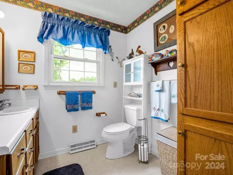 Bath - 126 Cougar Rd, Casar, NC 28020 photo 3 of 3