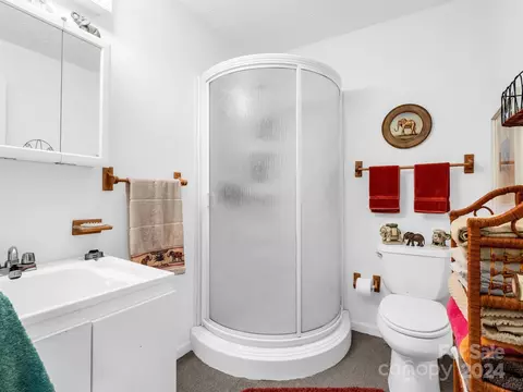Bath - 126 Cougar Rd, Casar, NC 28020 photo 1 of 3